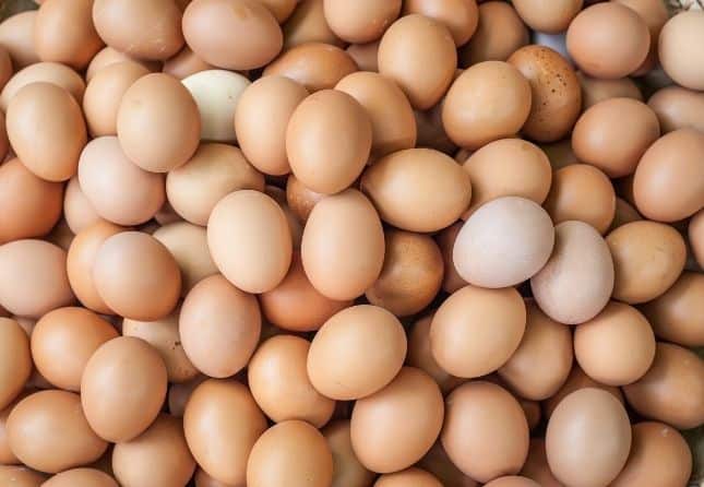 eggs